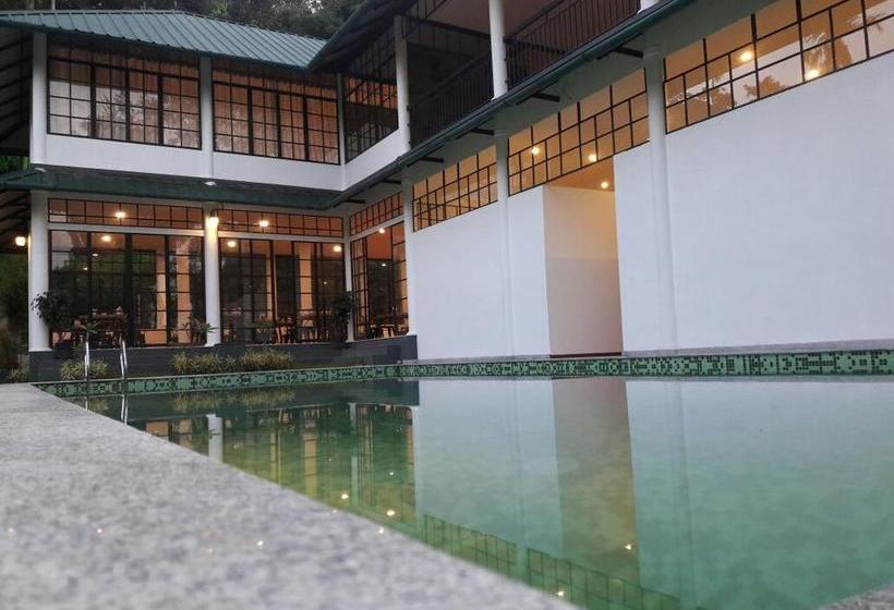 Resort Wayanad Coffee Trail 10