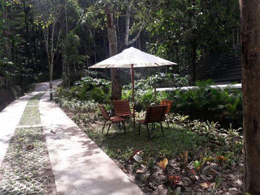 Resort Wayanad Coffee Trail 12