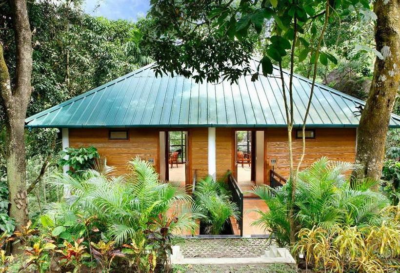 Resort Wayanad Coffee Trail 5