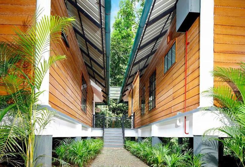 Resort Wayanad Coffee Trail 8