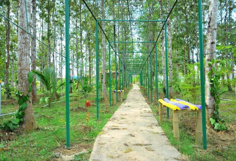 Resort Roomsdon Coorg Nest Cottages 17