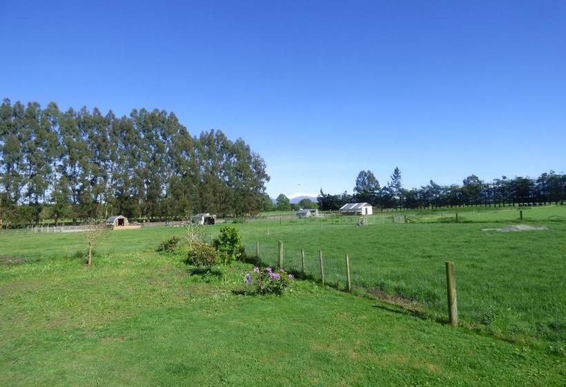 Bed and Breakfast Geraldine Guest Lodge 13