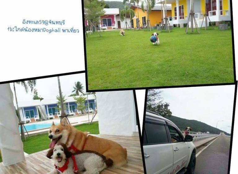 Resort Ing Thalay 59 10