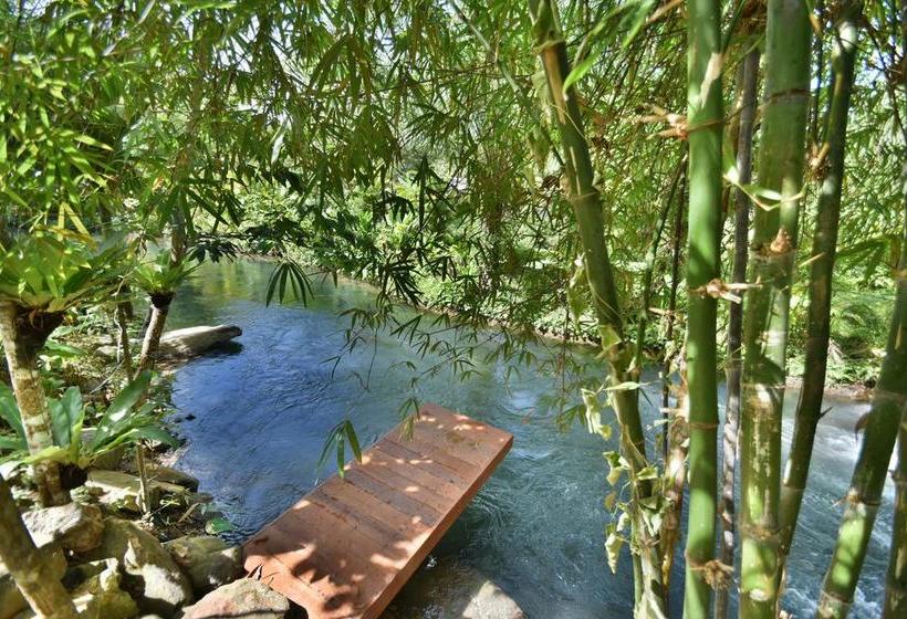 The Nine Thipthara Klongson Resort 15