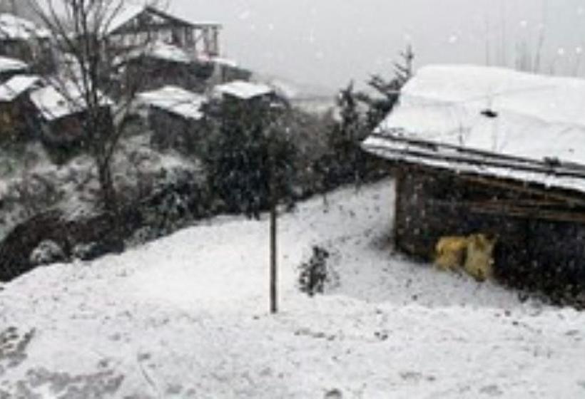 Hotel Silk Route Lingtham Resort 6