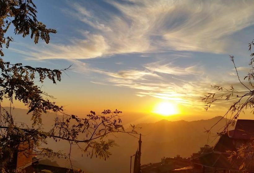 Bed and Breakfast Flyer Exotica 2