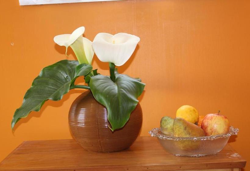 Bed and Breakfast Tuis Nest Picton 15