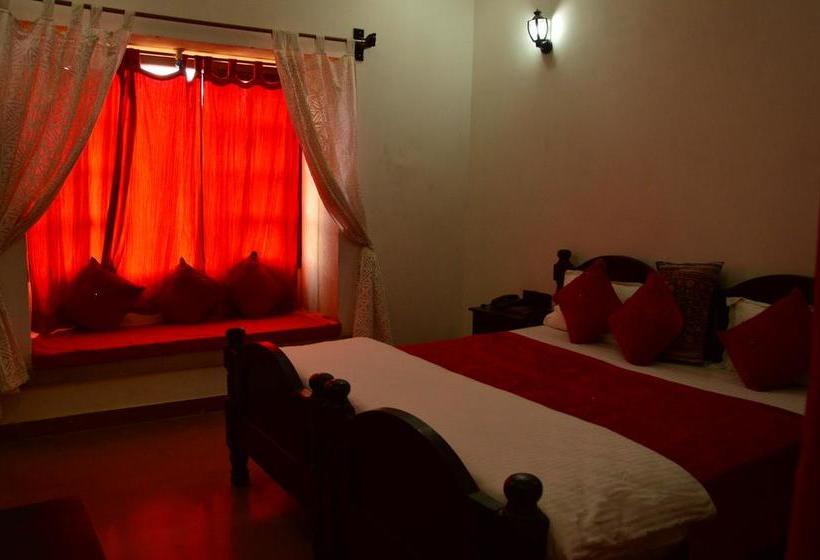 Jaisalmer Hostel Crowd