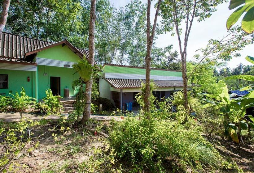 Big Dreams Resort 14