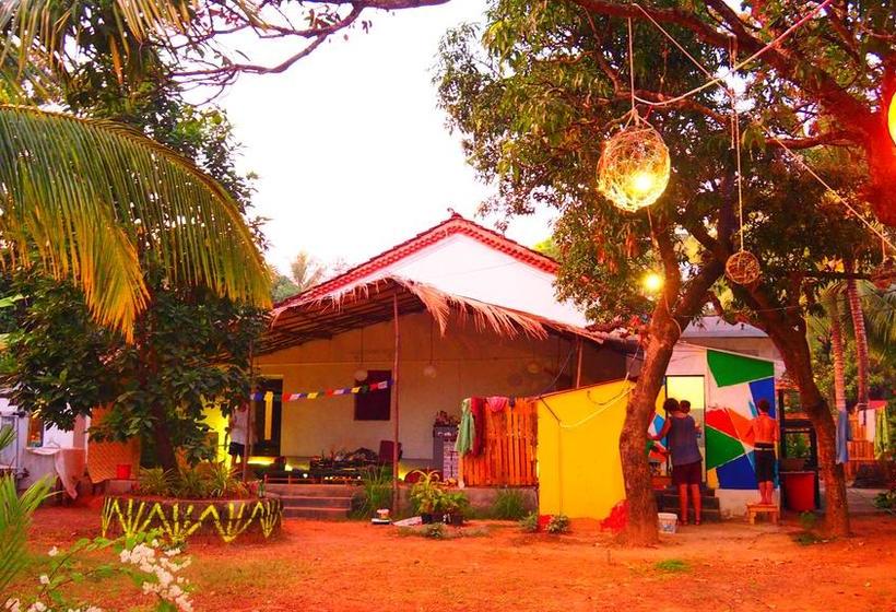 Hostel Lazy Llama 11