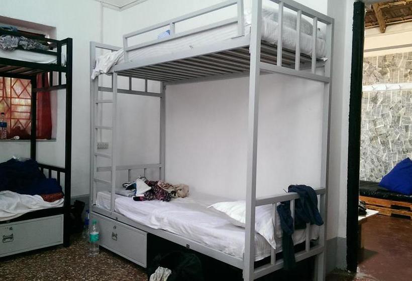 Hostel Lazy Llama 13