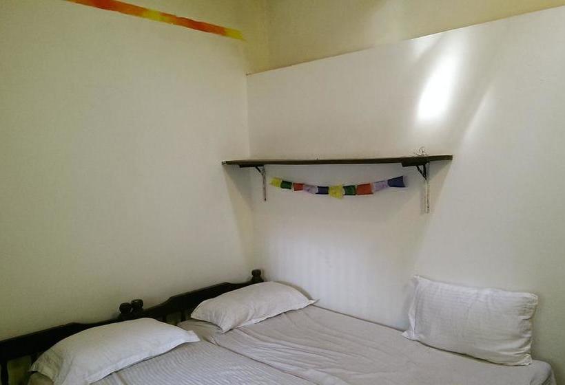 Hostel Lazy Llama 14