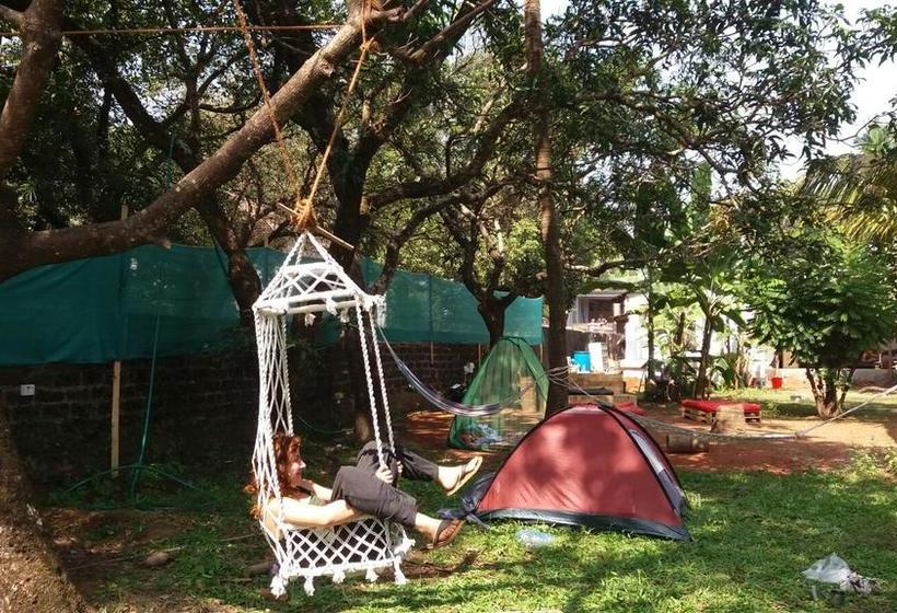 Hostel Lazy Llama 15