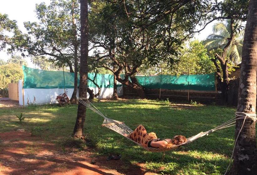 Hostel Lazy Llama 16