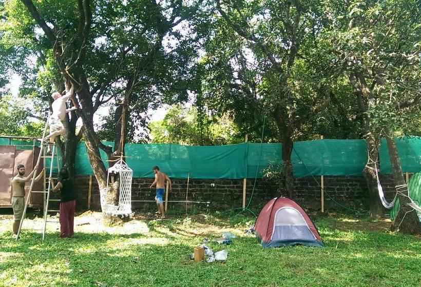 Hostel Lazy Llama 18