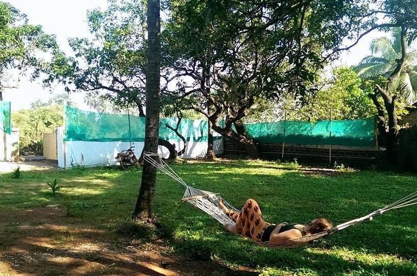 Hostel Lazy Llama 19