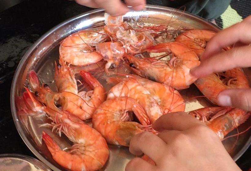 Hostel Lazy Llama 20