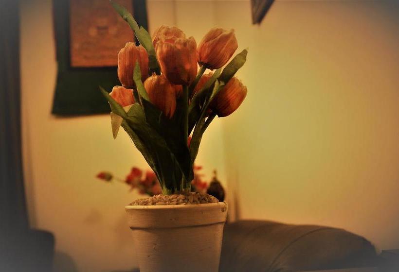 Bed and Breakfast Prakash Cottage Shimla 2