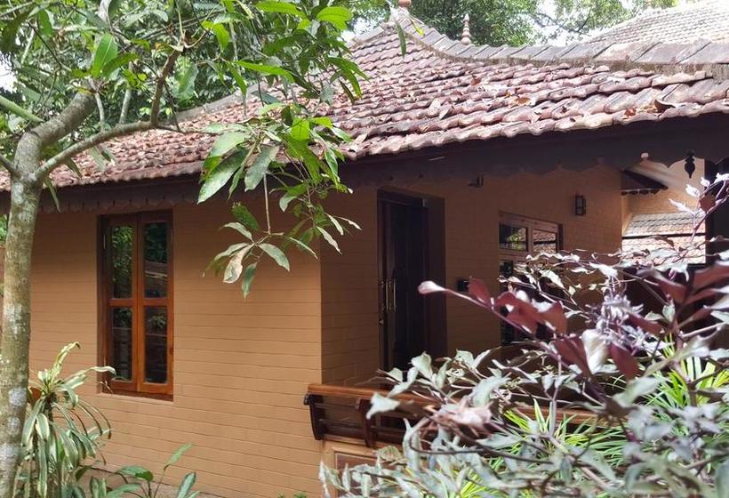 Rain Forest Ayur County Resort 10