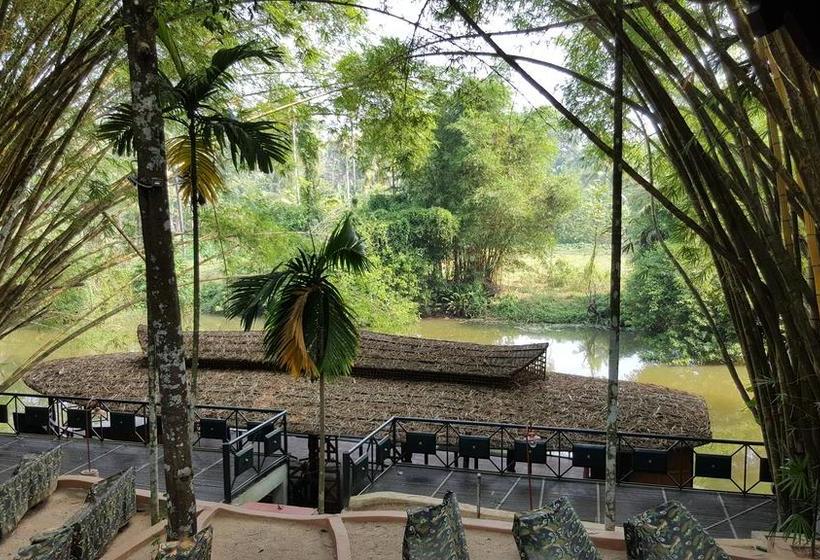 Rain Forest Ayur County Resort 11