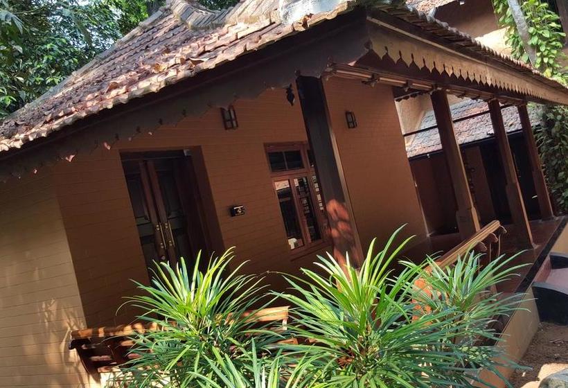 Rain Forest Ayur County Resort 13