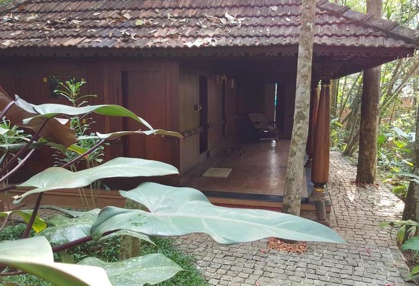 Rain Forest Ayur County Resort 6