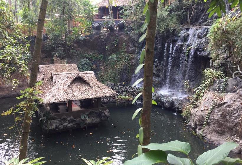 Rain Forest Ayur County Resort 8