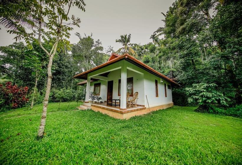 Bamboo Creek Resort 1