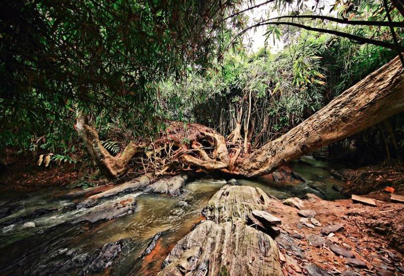 Bamboo Creek Resort 10