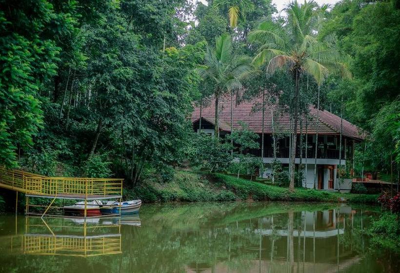 Bamboo Creek Resort 12