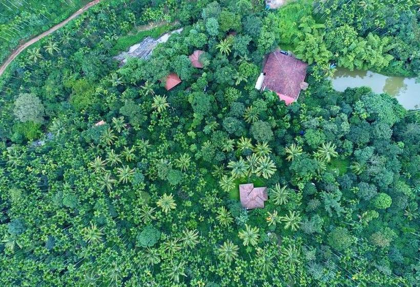 Bamboo Creek Resort 14