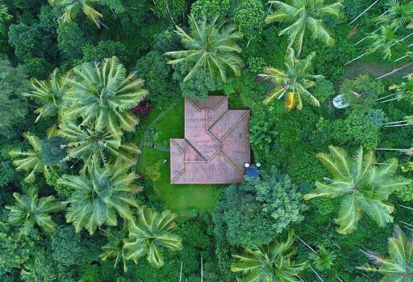 Bamboo Creek Resort 2