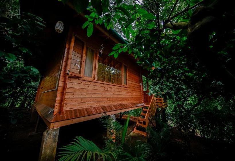 Bamboo Creek Resort 3