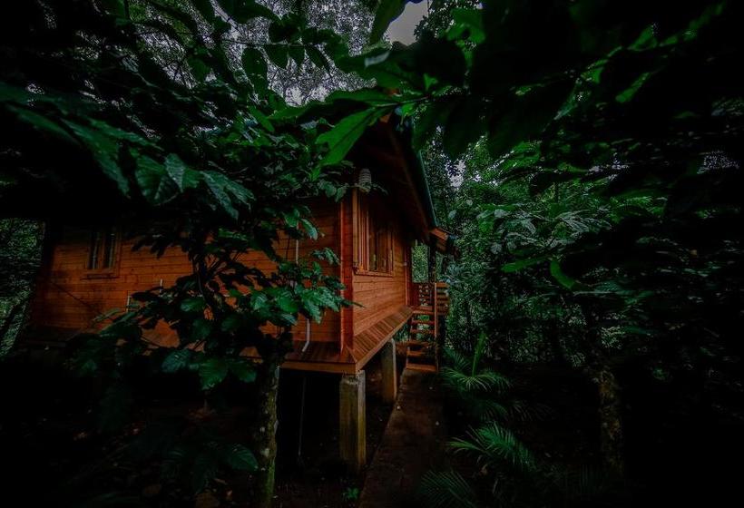 Bamboo Creek Resort 4