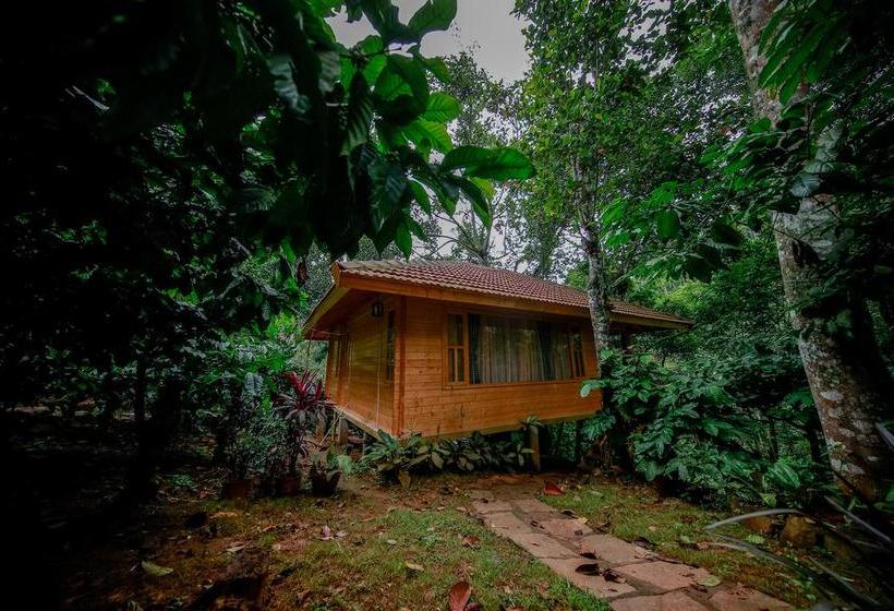 Bamboo Creek Resort 7