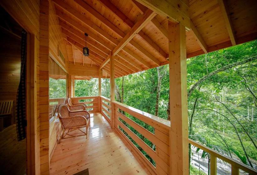 Bamboo Creek Resort 8