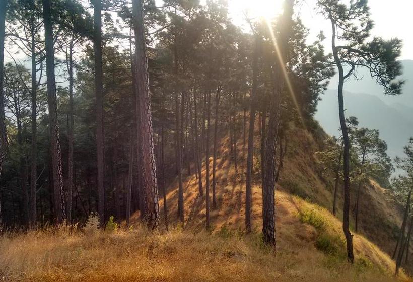 Resort Jatra Heights 1