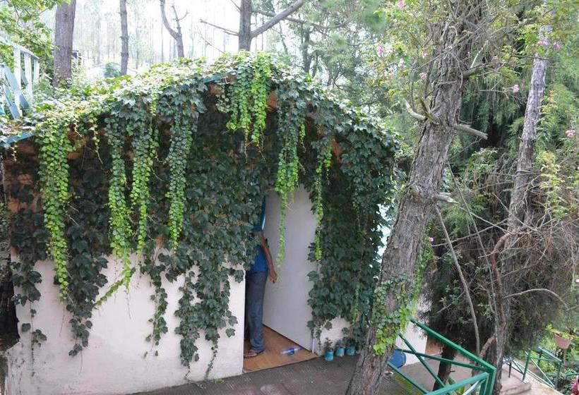 Resort Jatra Heights 10