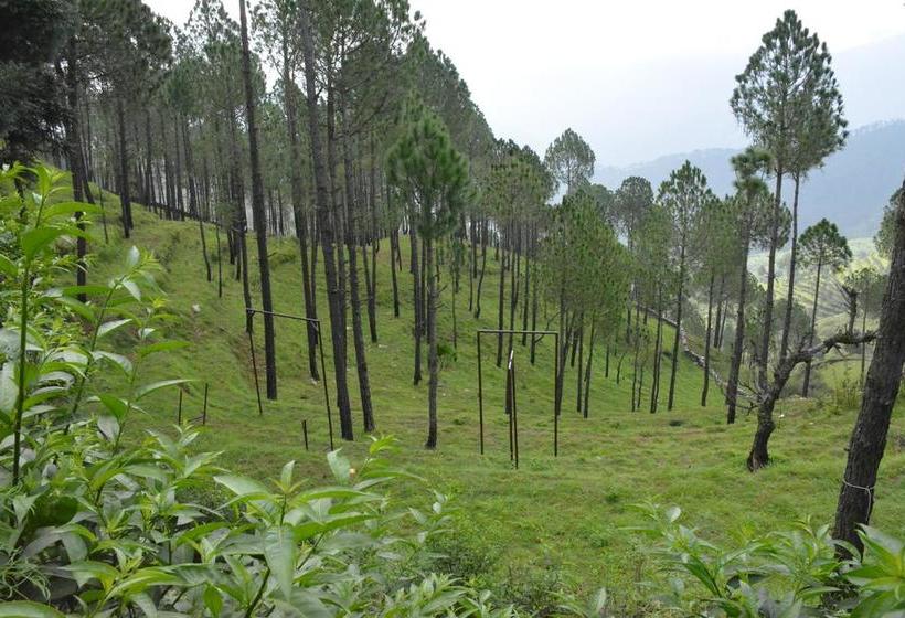 Resort Jatra Heights 11