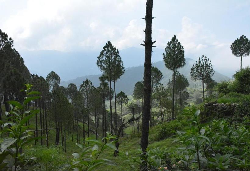 Resort Jatra Heights 13