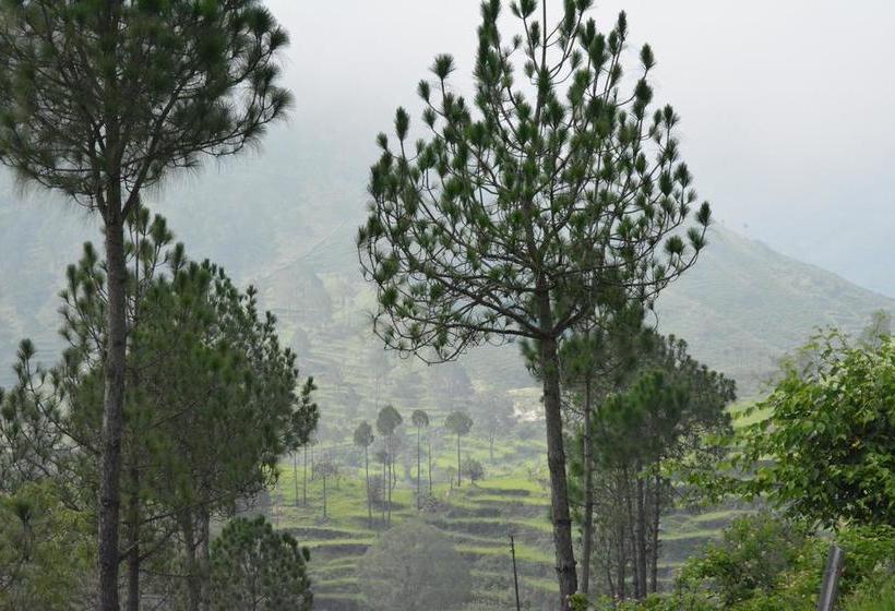 Resort Jatra Heights 14