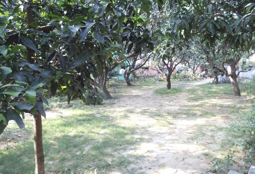 Hotel The Tiger Lodge 14