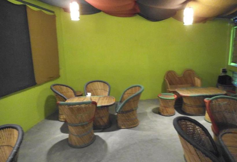 Hotel The Tiger Lodge 9