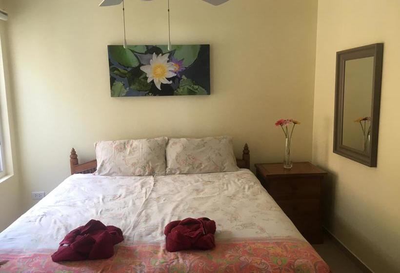 Resort Absolute Beachfront Villa 1