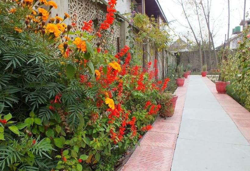 Bed and Breakfast Mahatta Home Stay 5