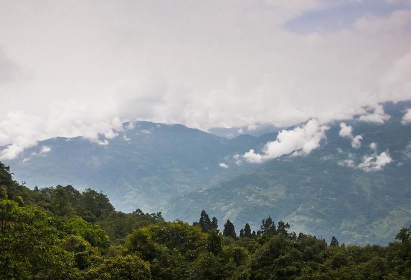 Hotel Yangthang Dzimkha Resort 6