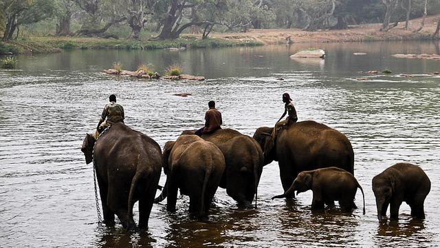 Bed and Breakfast Blossom Breeze Home Stay 12