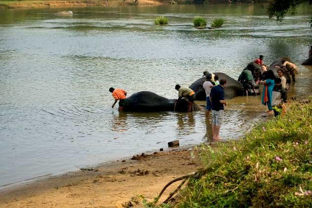 Bed and Breakfast Blossom Breeze Home Stay 13