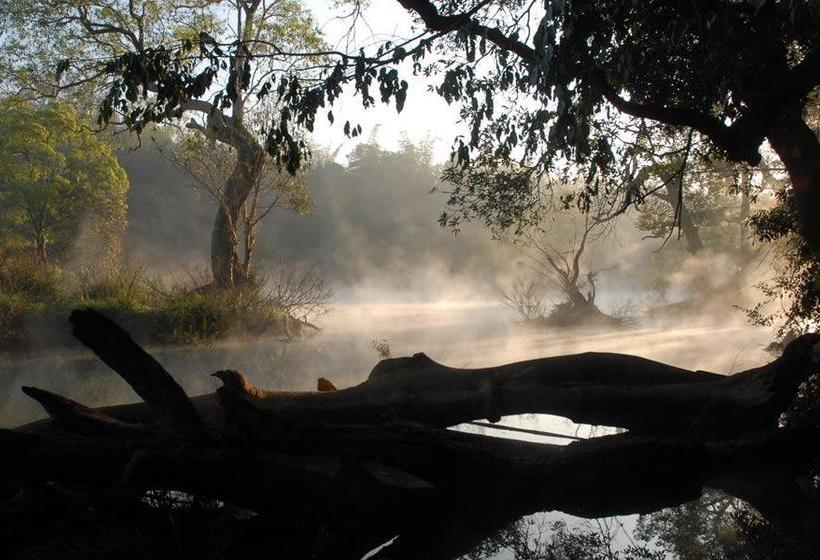 Bed and Breakfast Blossom Breeze Home Stay 4