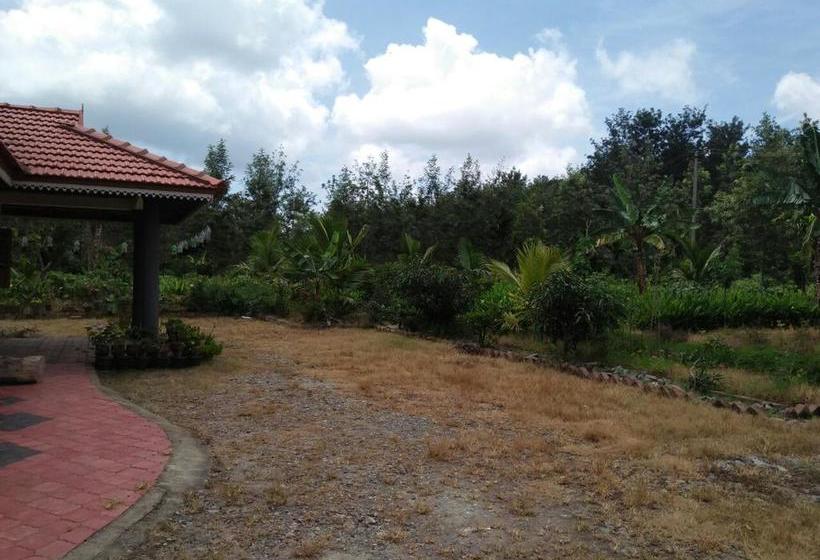 Bed and Breakfast Blossom Breeze Home Stay 8